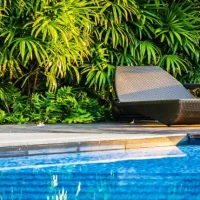 Swimming Pool Surrounds Landscaping 1